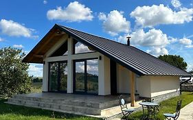 Casa moderna in Sinteu - intersectia intre modern si linistea naturii